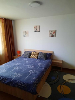 Garsoniera regim hotelier